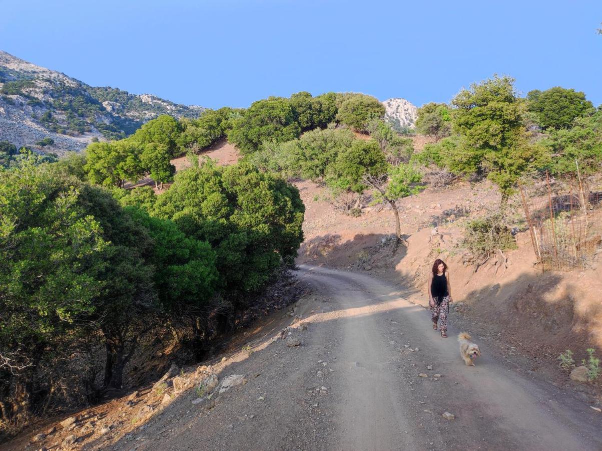Kato Symi House Villa Kato Simi Dış mekan fotoğraf
