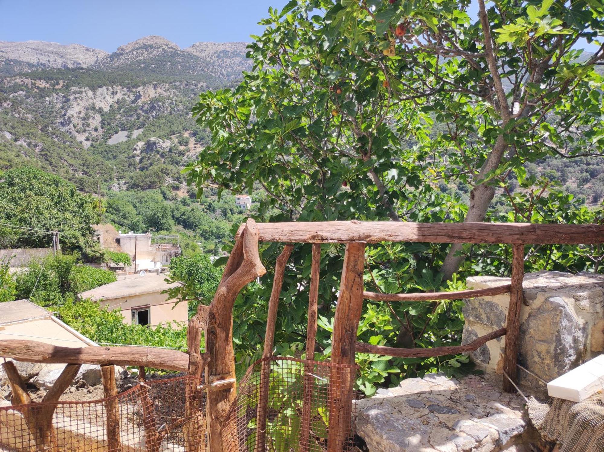Kato Symi House Villa Kato Simi Dış mekan fotoğraf